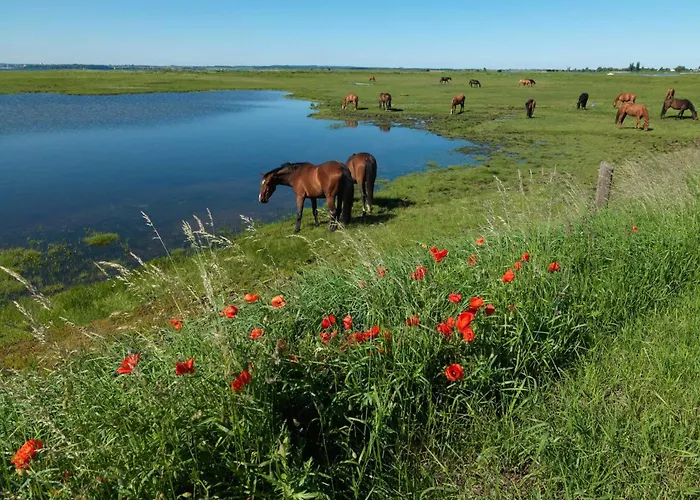 App Seaside * Wyspa Poel
